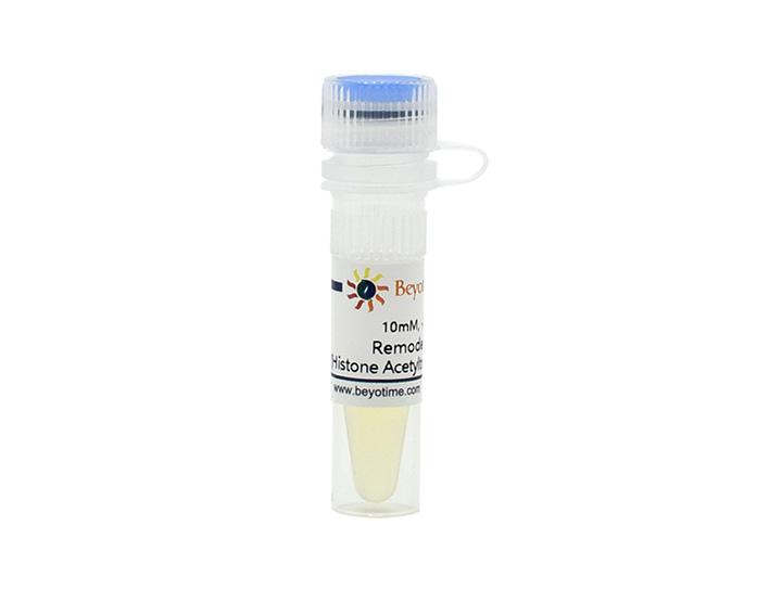 Remodelin (Histone Acetyltransferase抑制剂)